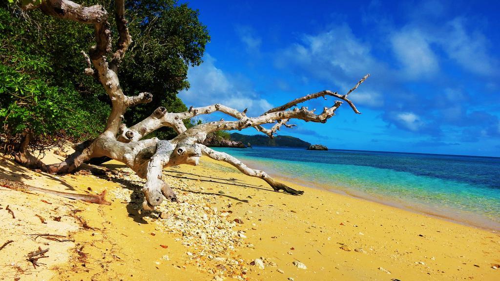 Mai Dive' Astrolabe Reef Resort Naqara Eksteriør bilde