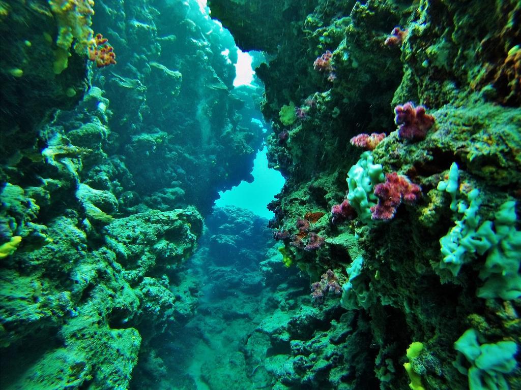 Mai Dive' Astrolabe Reef Resort Naqara Eksteriør bilde