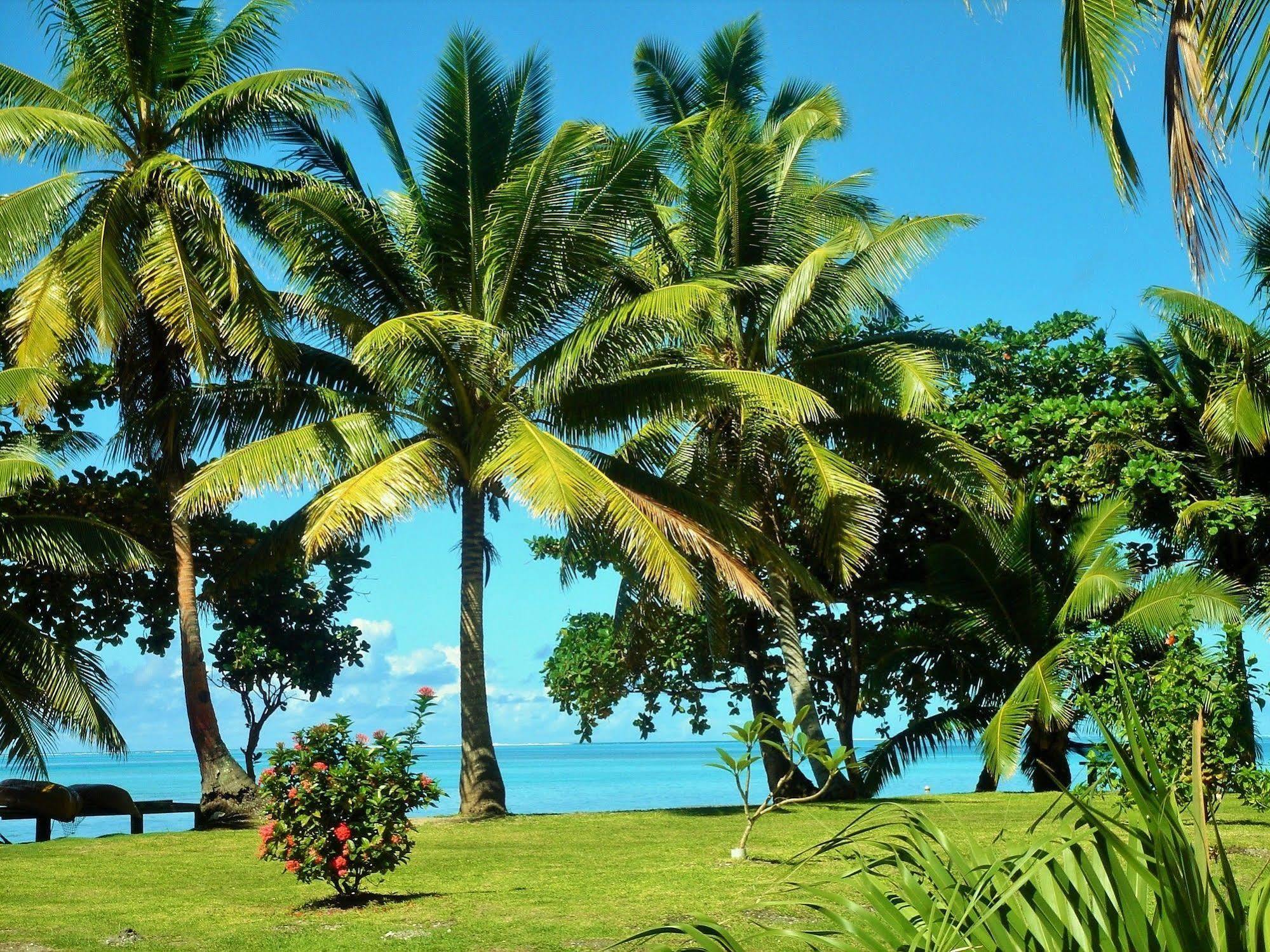 Mai Dive' Astrolabe Reef Resort Naqara Eksteriør bilde